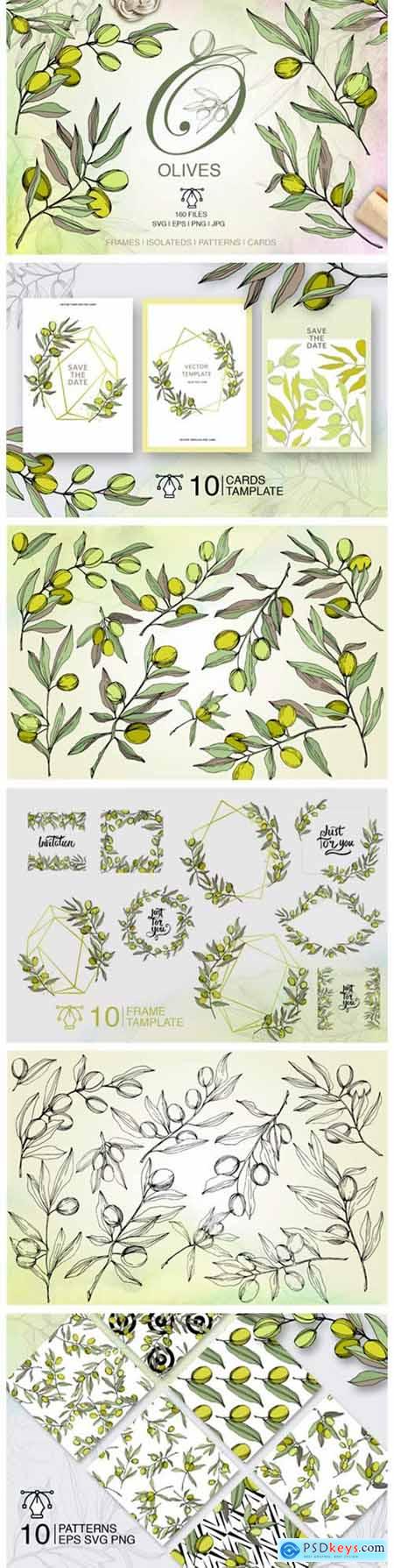Olives Vector Watercolor Set 4751969