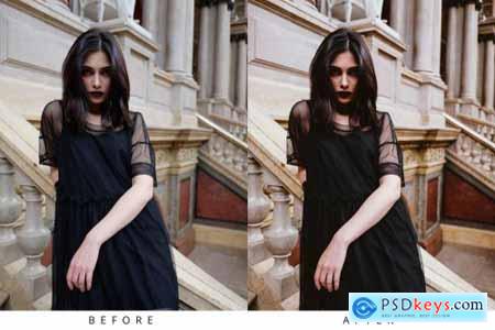 10 VSCO Matte Lightroom Presets 5283355