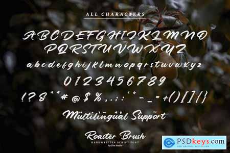 Roaster Brush-Elegant Handwritten Font