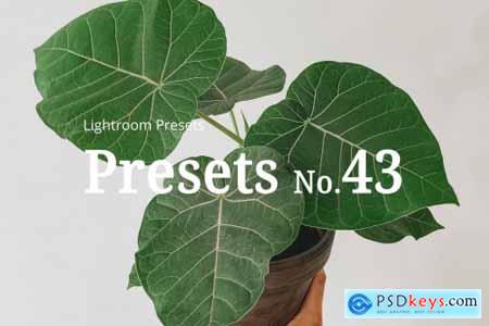 10 Light Botanical Lightroom Presets 5351307