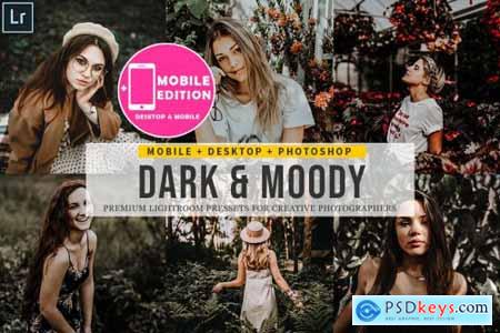 Dark and Moody Lightroom Presets 4842930