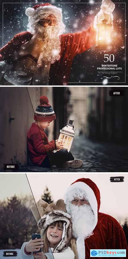 50 Wintertone LUTs (Look Up Tables)