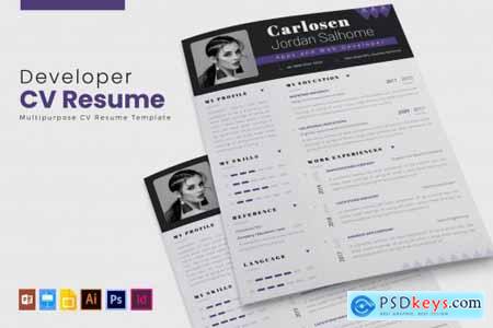 Developer Pro CV & Resume