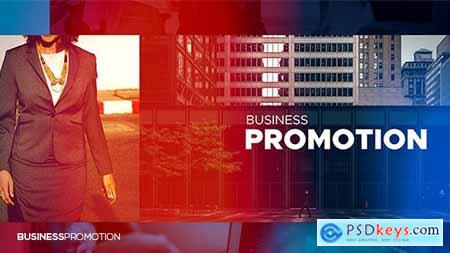 Business Promotion 20430844