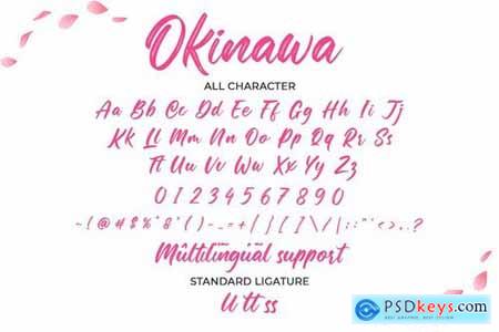 Okinawa-Elegant Brush Font