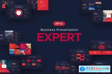 ppt experts