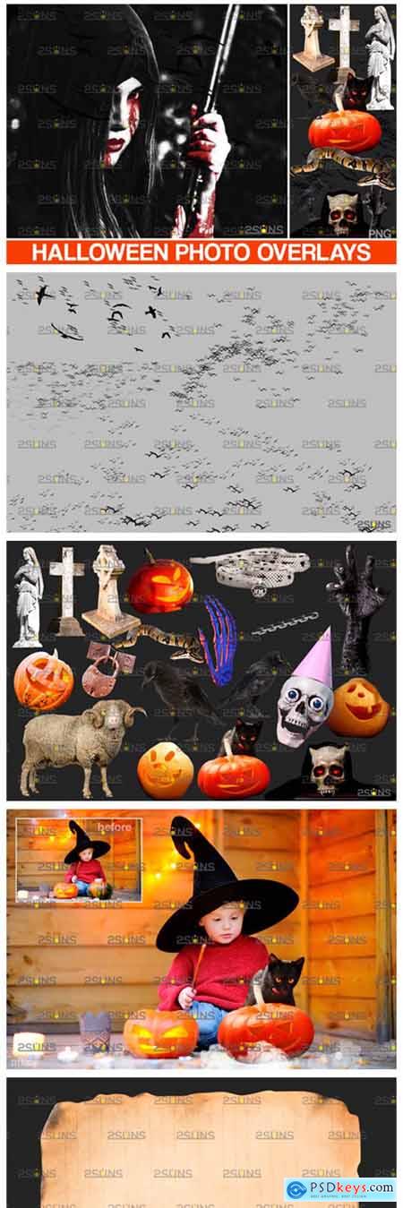 Halloween Clipart & Halloween Overlays 5542443