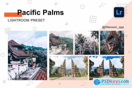 Pacific Palms - Lightroom Presets 5239967