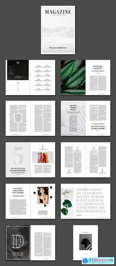 Magazine Layout 386477102