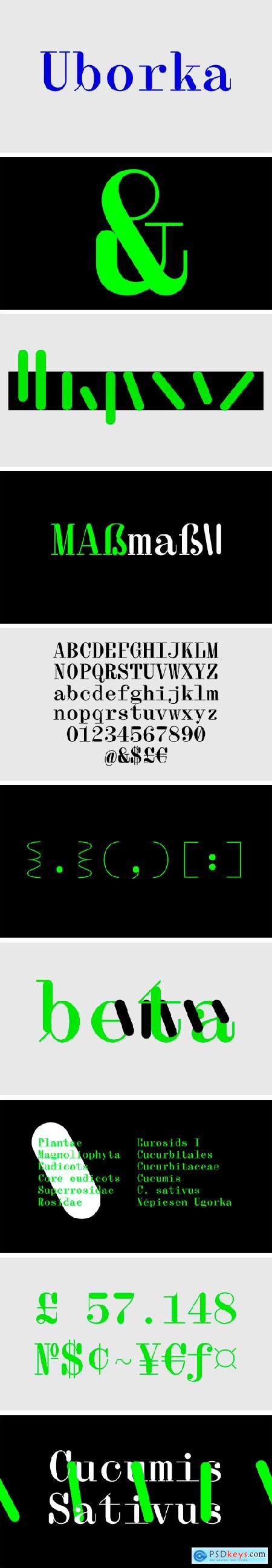 Uborka Monospace Serif Typeface