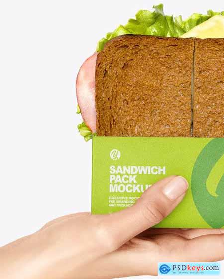 Sandwich Pack in a Hand Mockup 68904