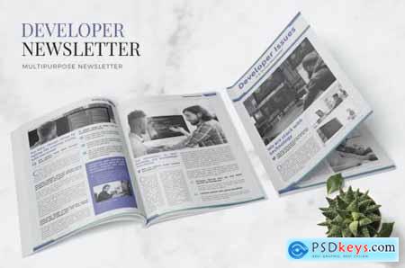 Developer Issue Newsletter