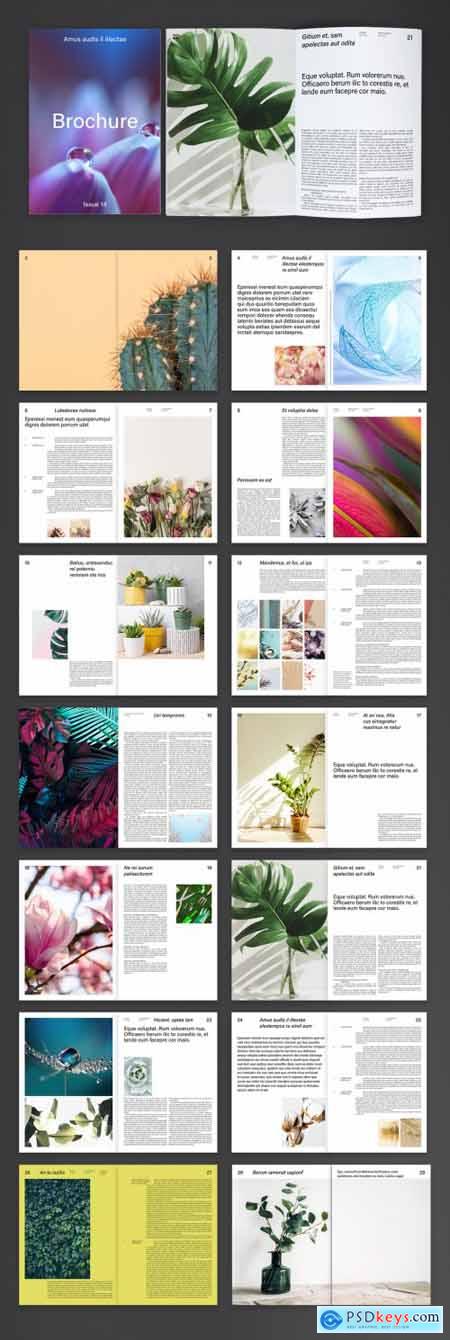 Modern and Timeless Brochure Layout 388785339