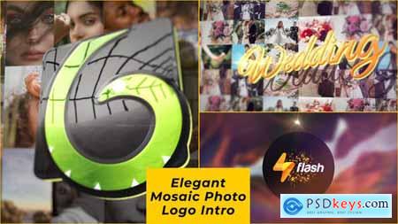 Elegant Mosaic Photo Logo Intro 28509525