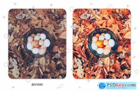 Gifts of Autumn - Lightroom Presets 5227452