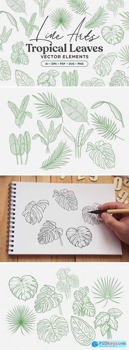 Tropical Leaves Lineart Vector Elements