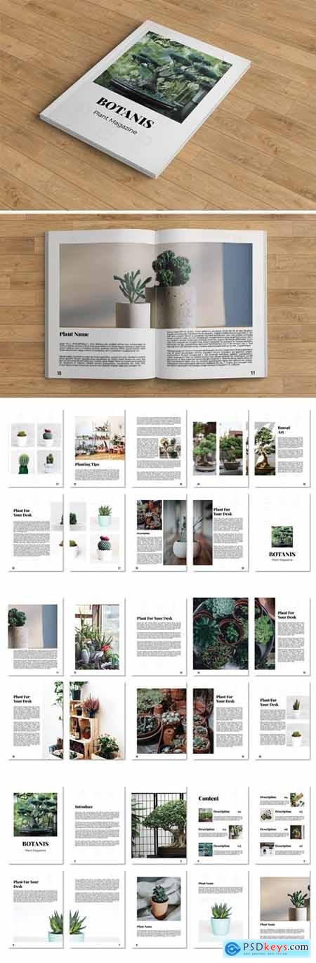 Botanist  Plant Magazine