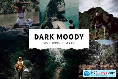 10 Dark Moody Lightroom Presets 5516121