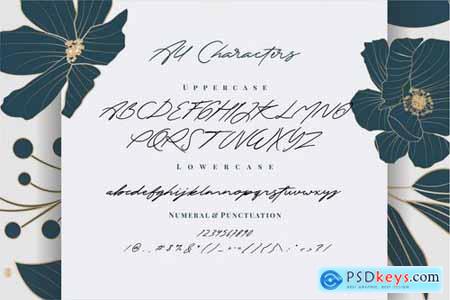 The Excited - Stylistic Signature Font