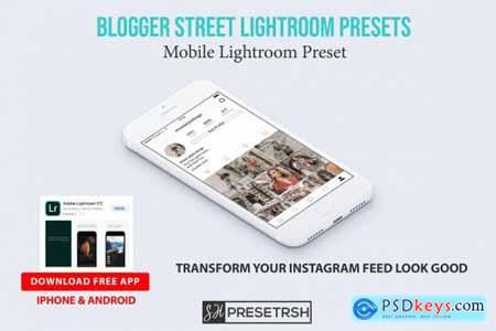 Blogger Street Lightroom Presets 3149941