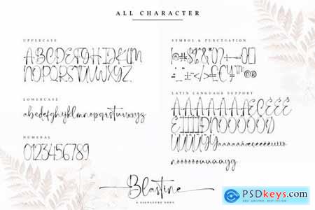 Blastine-Beautiful Signature Font