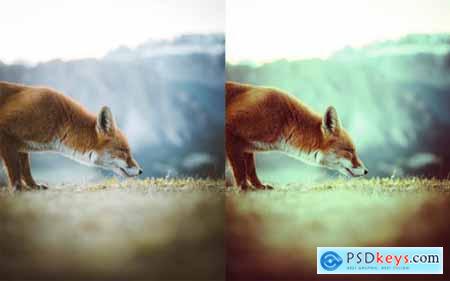 40 Modern Photoshop Actions 8 4723018