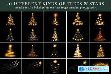Christmas Trees photo overlays 5636334
