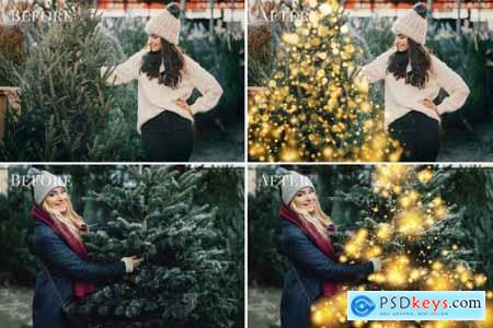Christmas Trees photo overlays 5636334