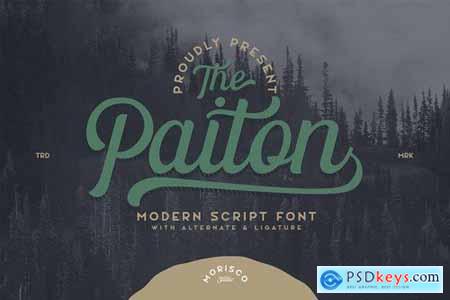 The Paiton Modern Script Font 5509358
