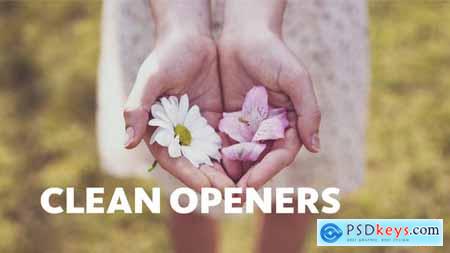 Clean Openers 21965209
