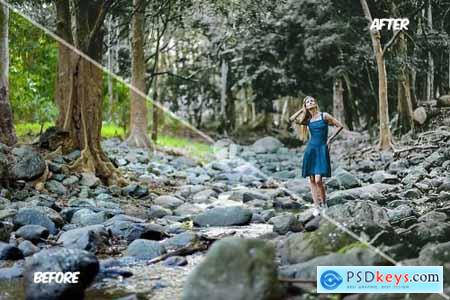 Dramatic Forest Presets 5689538