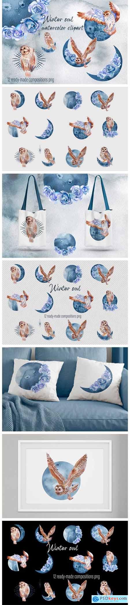 Winter Birds - Owl Watercolor Set 6946848