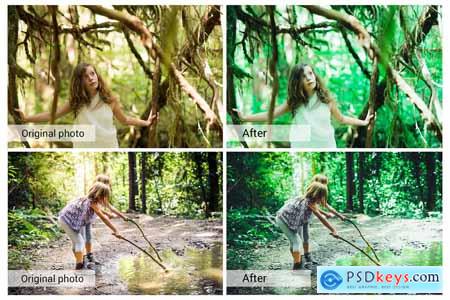 Green Forest Presets 5689709
