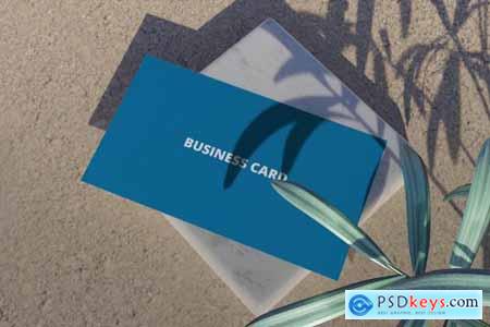 Realistic Business Card Mockup Vol 5