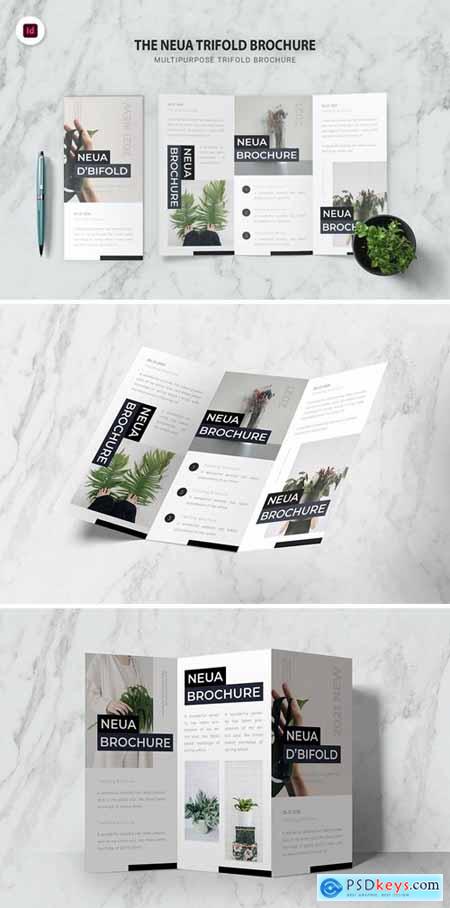 Neua Trifold Brochure