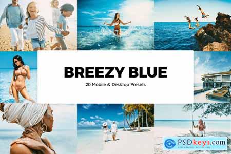 20 Breezy Blue Lightroom Presets & LUTs 5846212