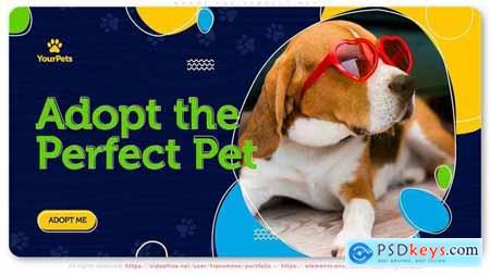 Adopt the Perfect Pet Be a Hero! 30388226