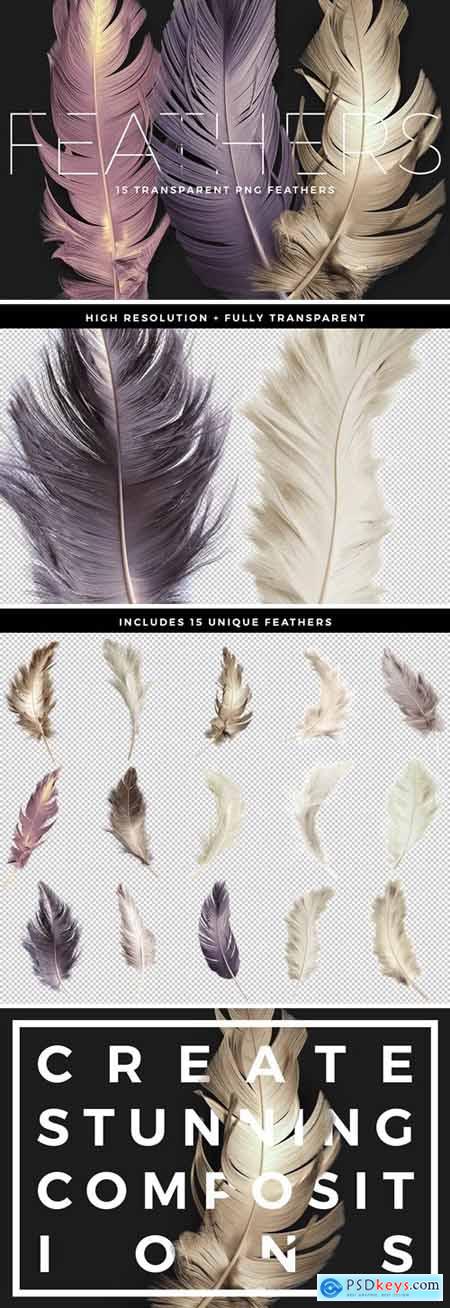 Transparent Feathers Overlays
