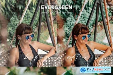Evergreen Lightroom Mobile Presets 5017153