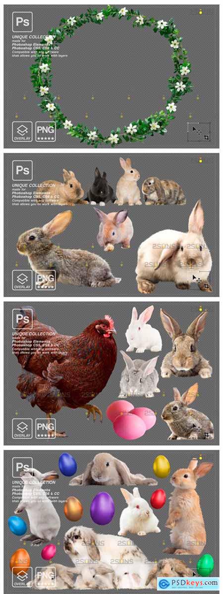 Easter Photoshop Overlay Bunny, Egg Png 8816689