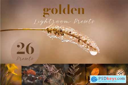 Golden Lightroom Presets 5805936