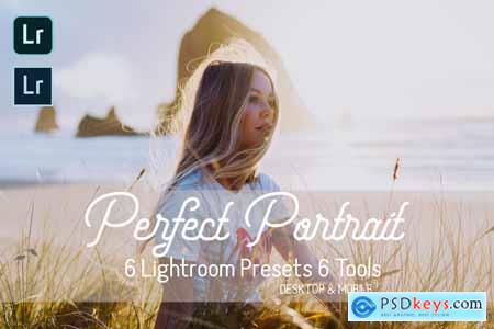 Perfect Portrait Lightroom Presets 5931457