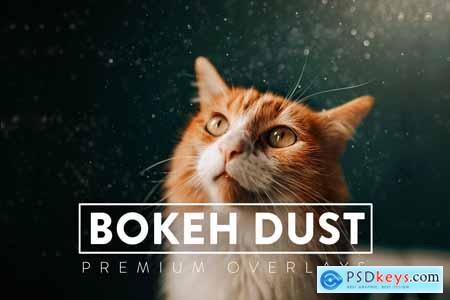 30 Bokeh Dust Overlays 5930979