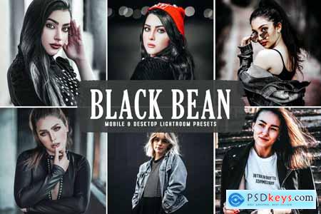 Black Bean Mobile & Desktop Lightroom Presets
