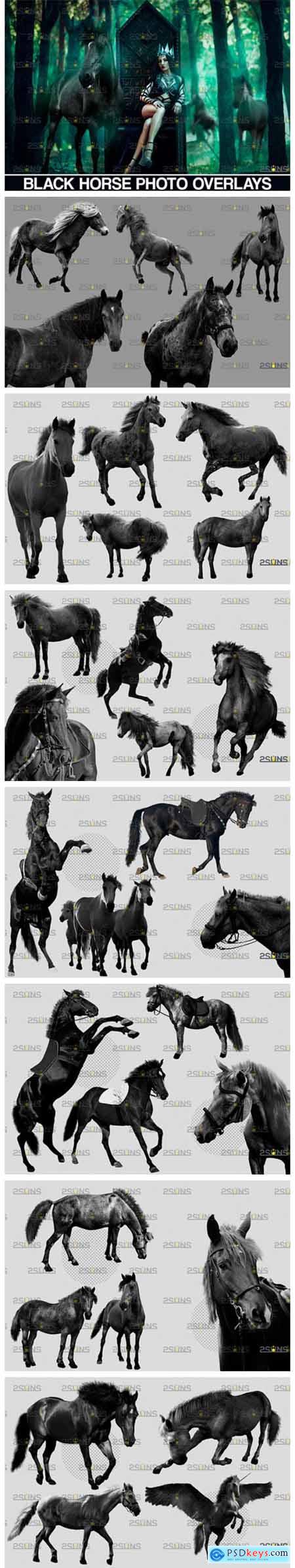 Photoshop Overlay Black Horse 8559805