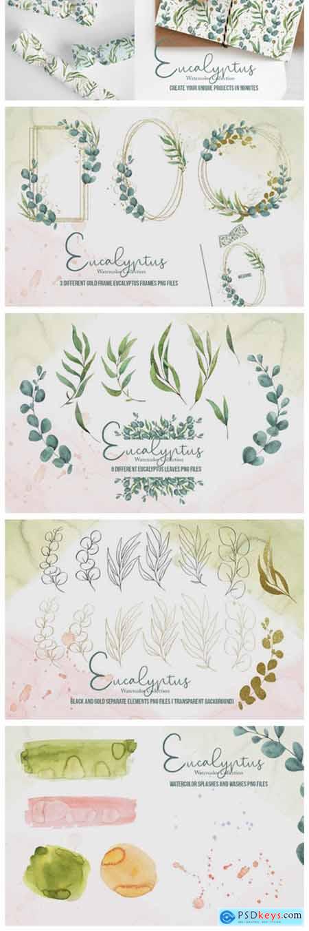 Eucalyptus Watercolor Collection 8767666