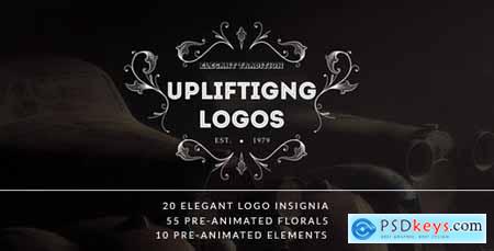 Elegant Logo Insignias Pack 8468756