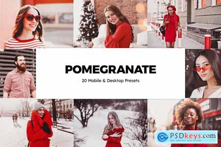 20 Pomegranate Lightroom Presets & LUTs 5994869