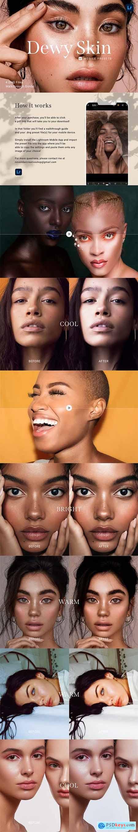 4 Lightroom Presets DEWY SKIN 5914181