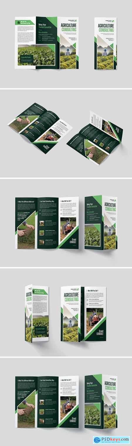 Agriculture Consulting Trifold Brochure